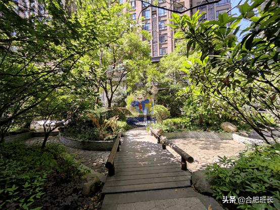 滨湖省府板块高速,实探滨湖区省府中轴禹洲绿城兰园