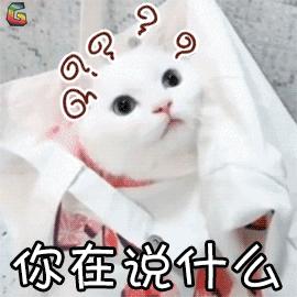 喵星人铲屎官必备,铲屎官出门猫咪怎么办