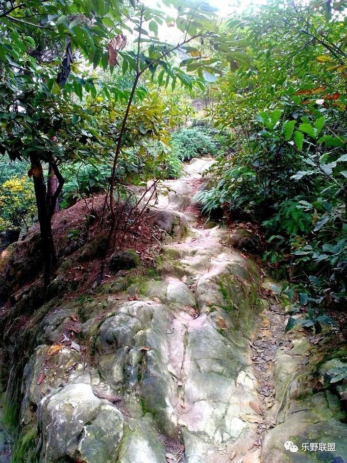 「乐野求生课」6月22重庆游龙山徒步越野报名