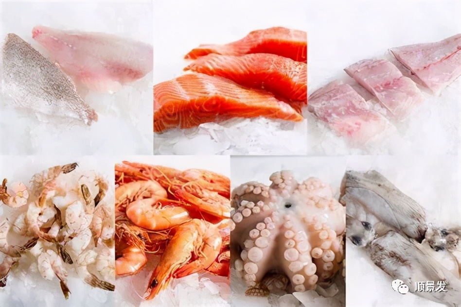 海鲜陆冻和船冻,冷冻海鲜进口知识大全