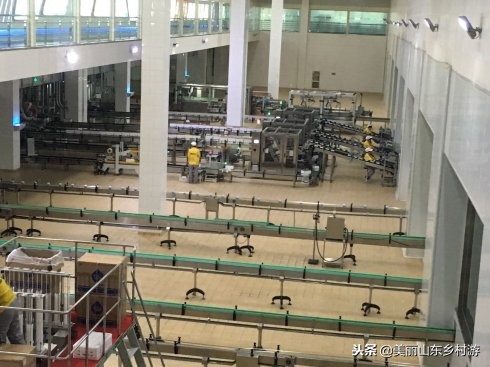 研学游第二十三期：济南佳宝，发现“老味道”的前世今生