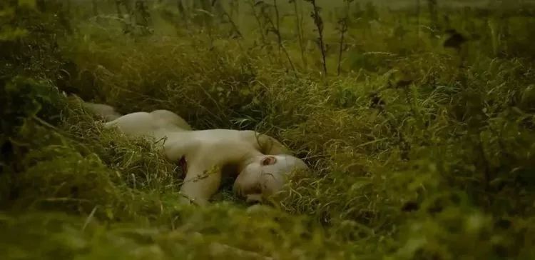 为取体香连杀三人，这部重口剧好残忍