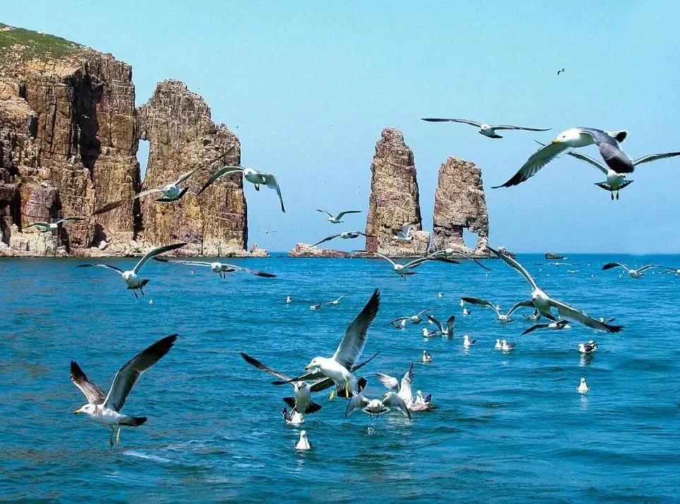 烟台海岛一日游有哪些推荐,烟台海岛渔村旅游攻略
