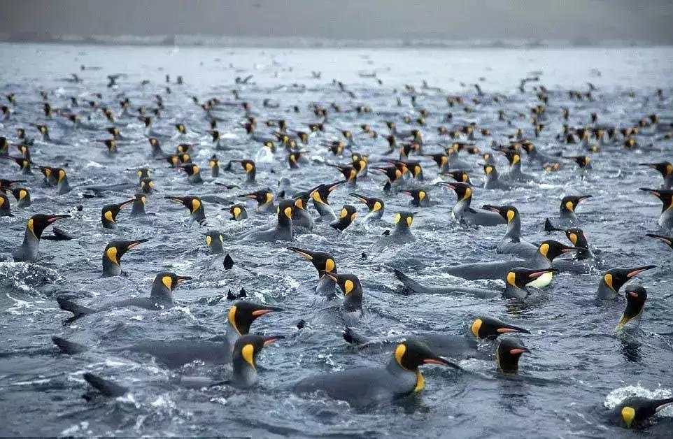 来澳洲才知道的事,来悉尼才知道的事