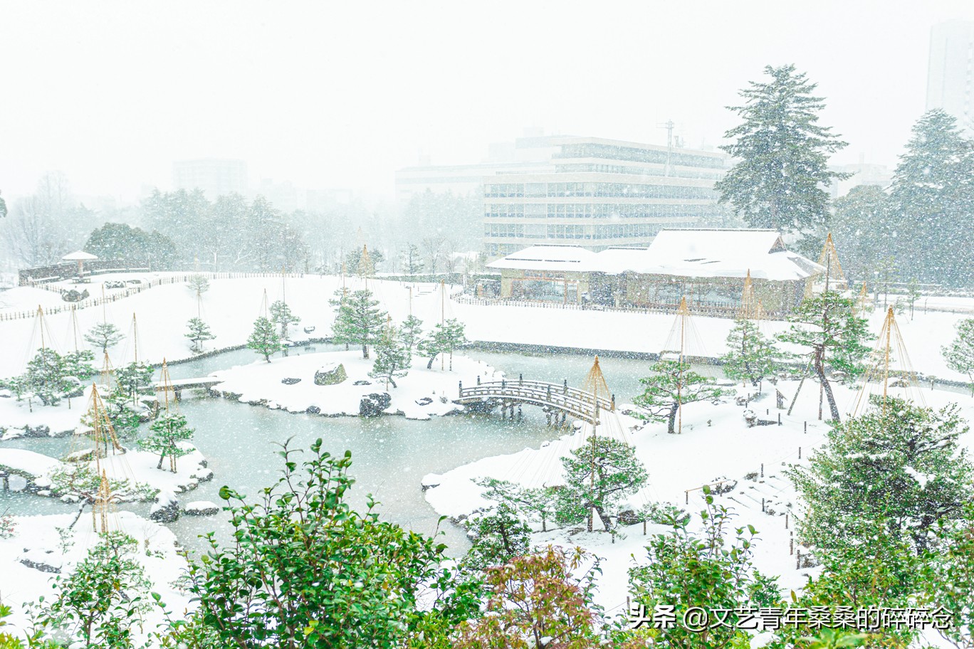 冬季日本的自驾游攻略,冬日游日本名古屋攻略