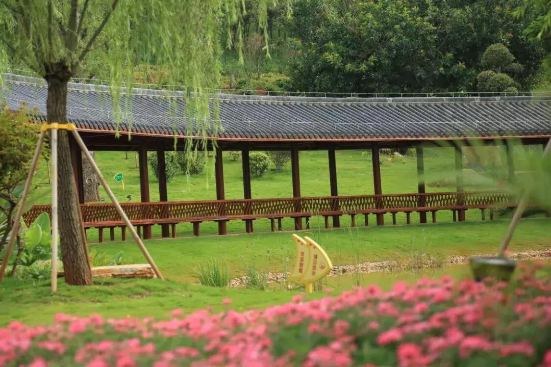 开远有多远,开远是哪