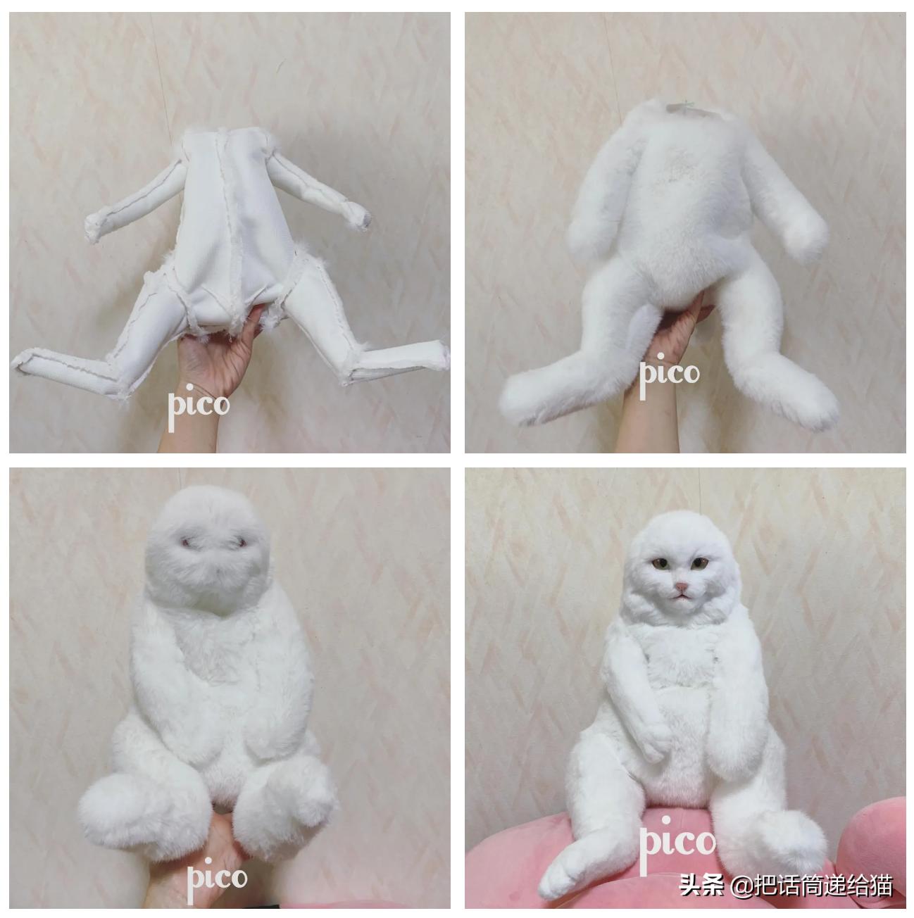 日本网红猫包,日本网红猫咪包