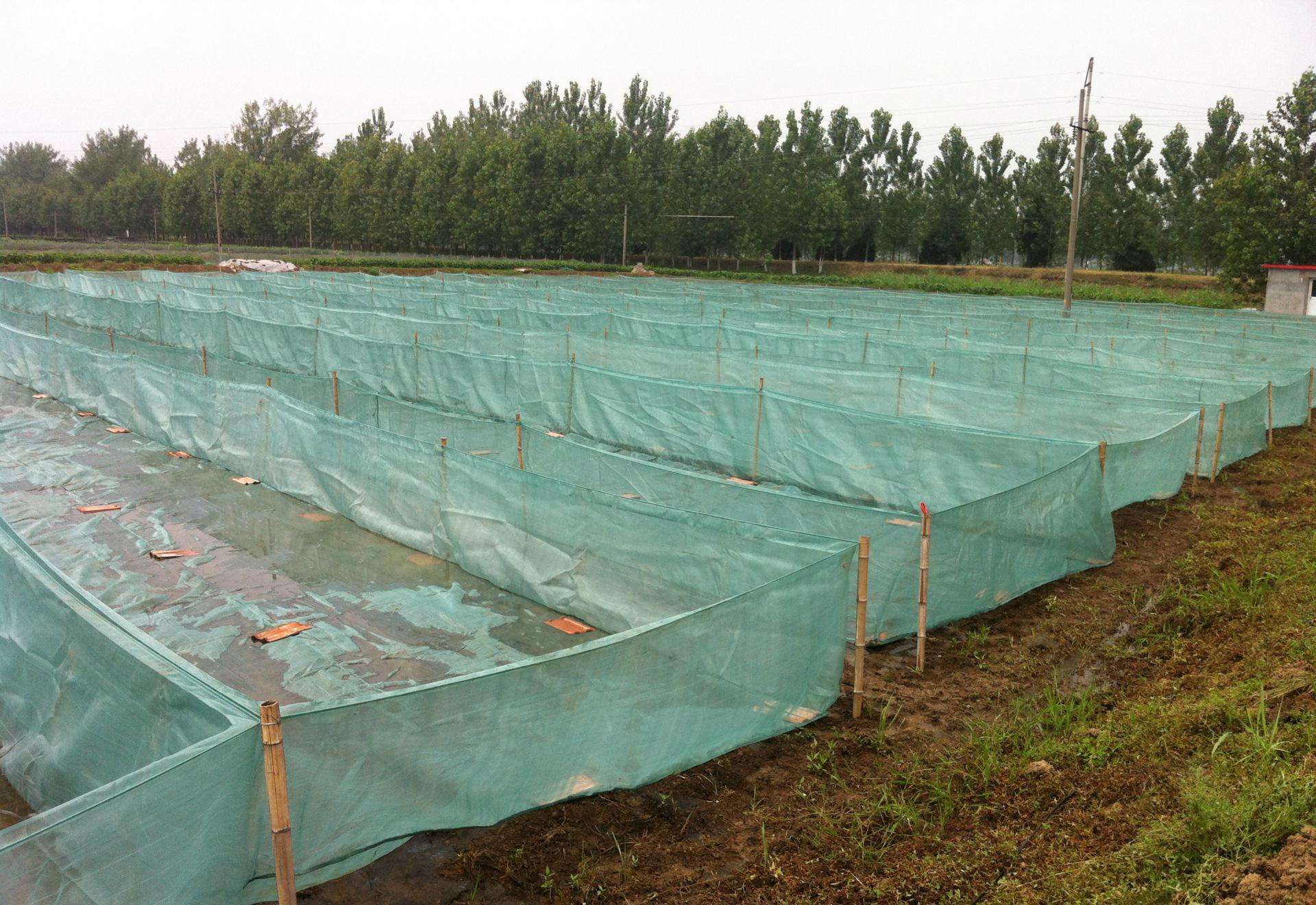 农民创业需要注意哪些套路,农民创业一定要注意哪些套路