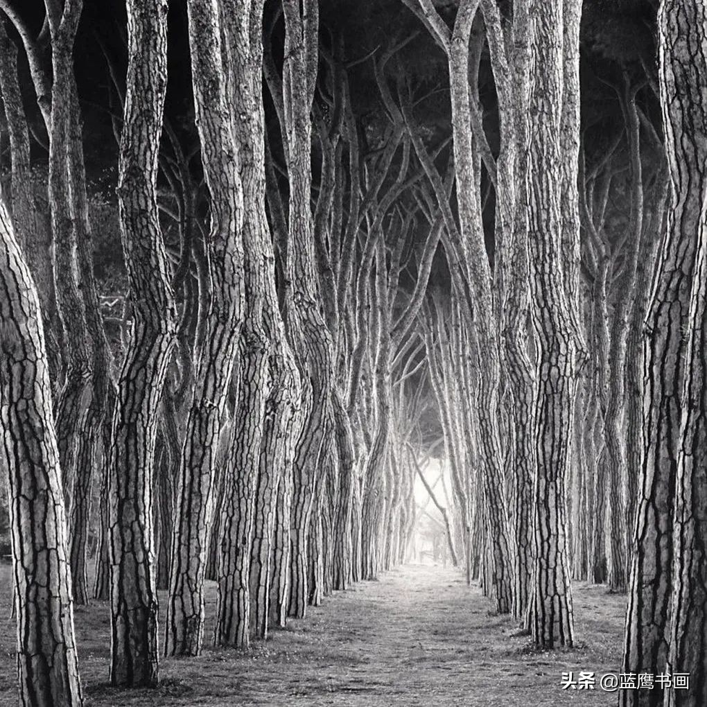 中国水墨画的艺术魅力,中国水墨画艺术特色