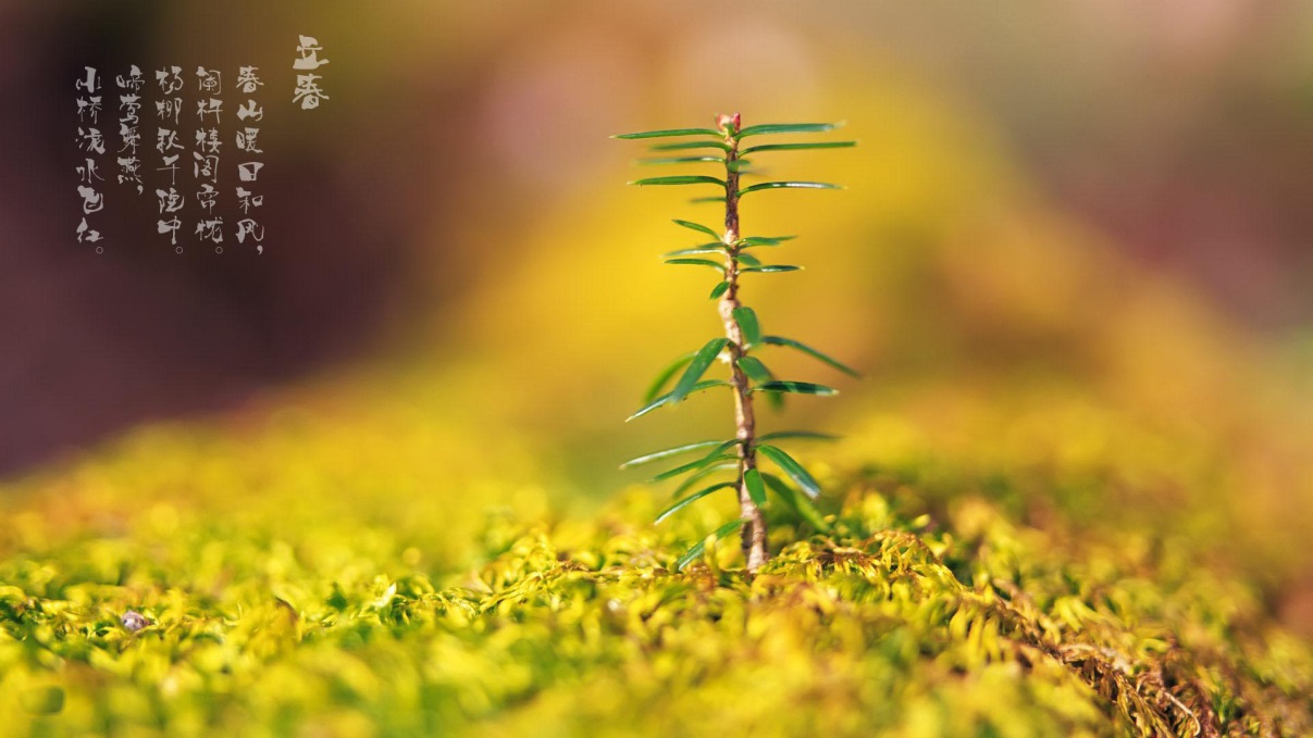 2022年立春打春禁忌,今日立春打一动物