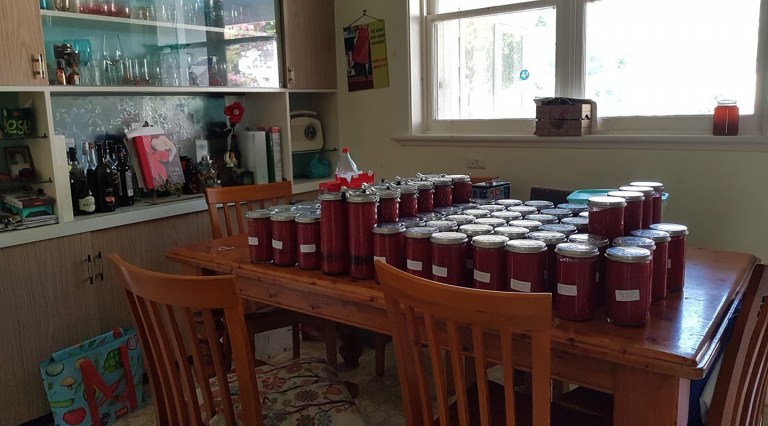 英国大妈囤了够吃一整年的西红柿，专家建议自己种