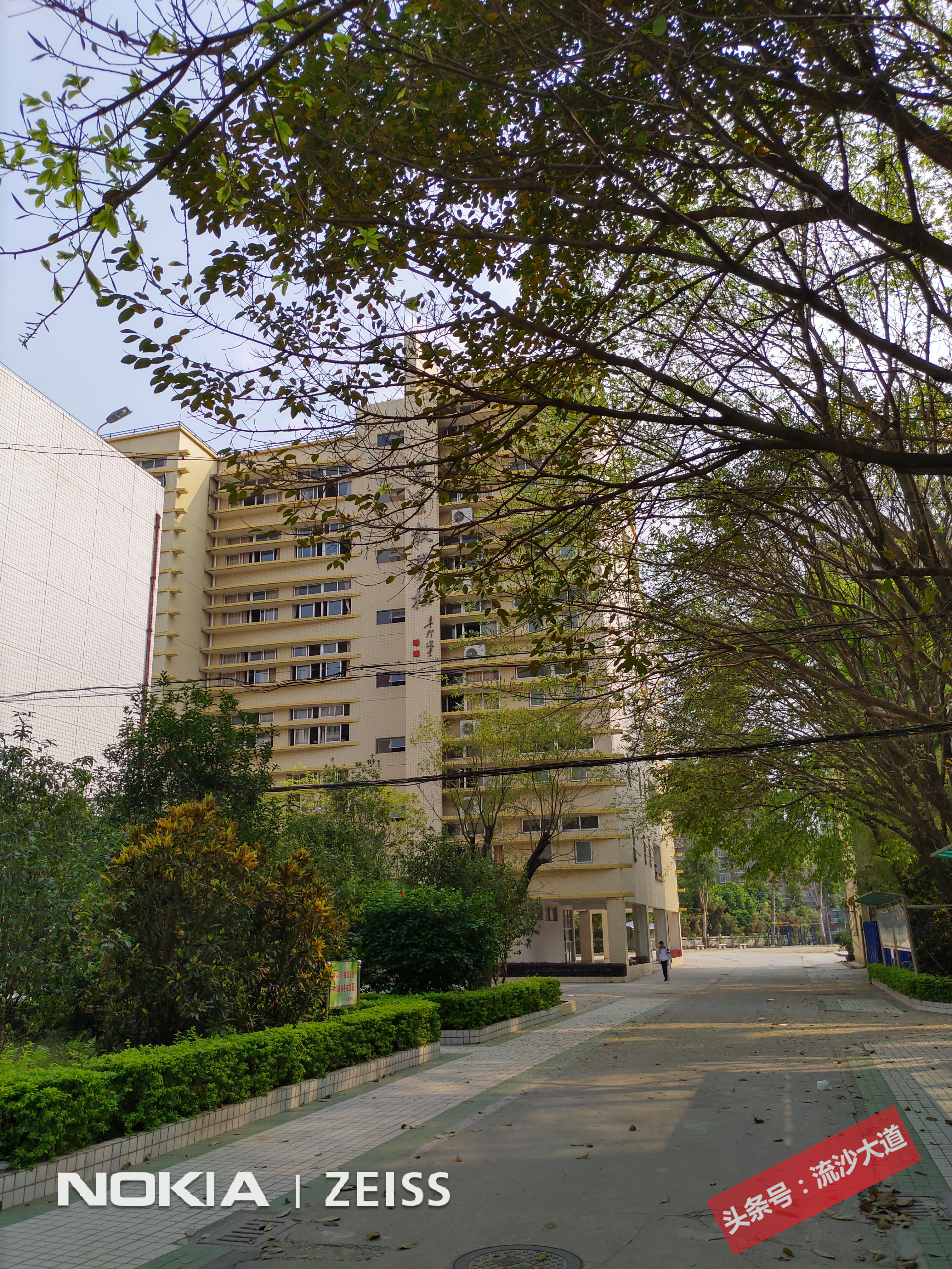 广东普宁侨中学校全景图,普宁华侨中学照片