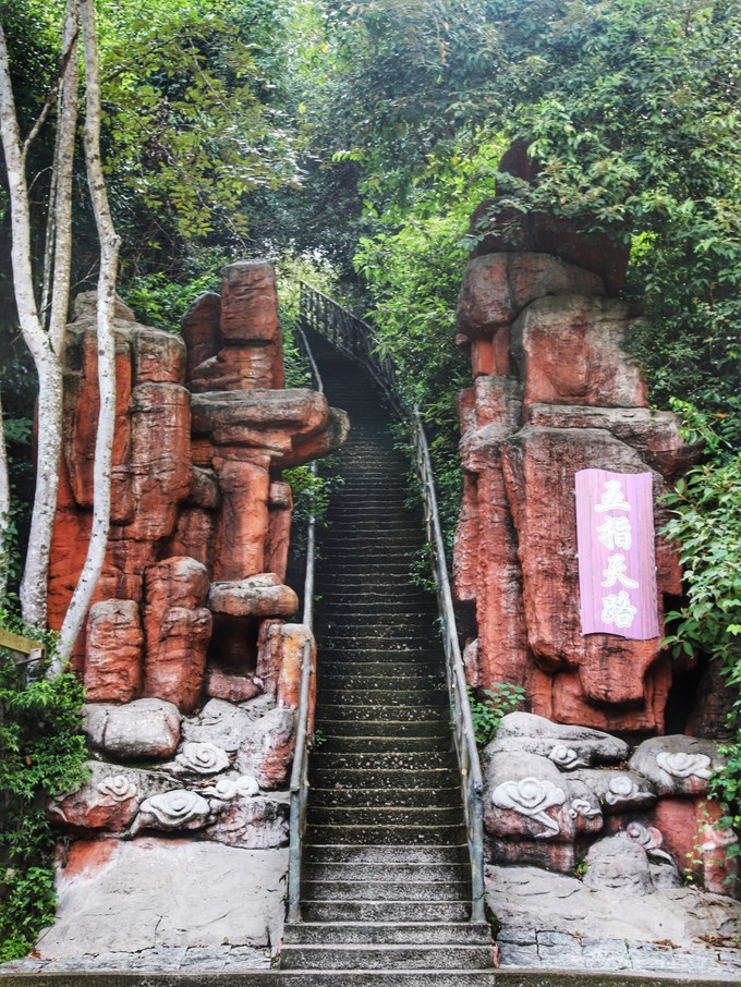 梅州采茶,梅州采茶体验