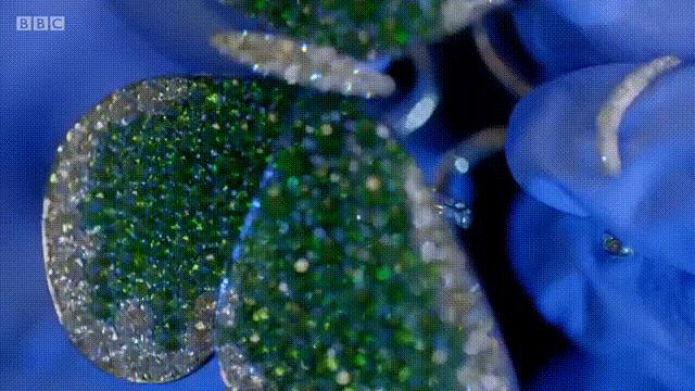 机关重重的珠宝里，除了爱情，还有毒药和刺杀