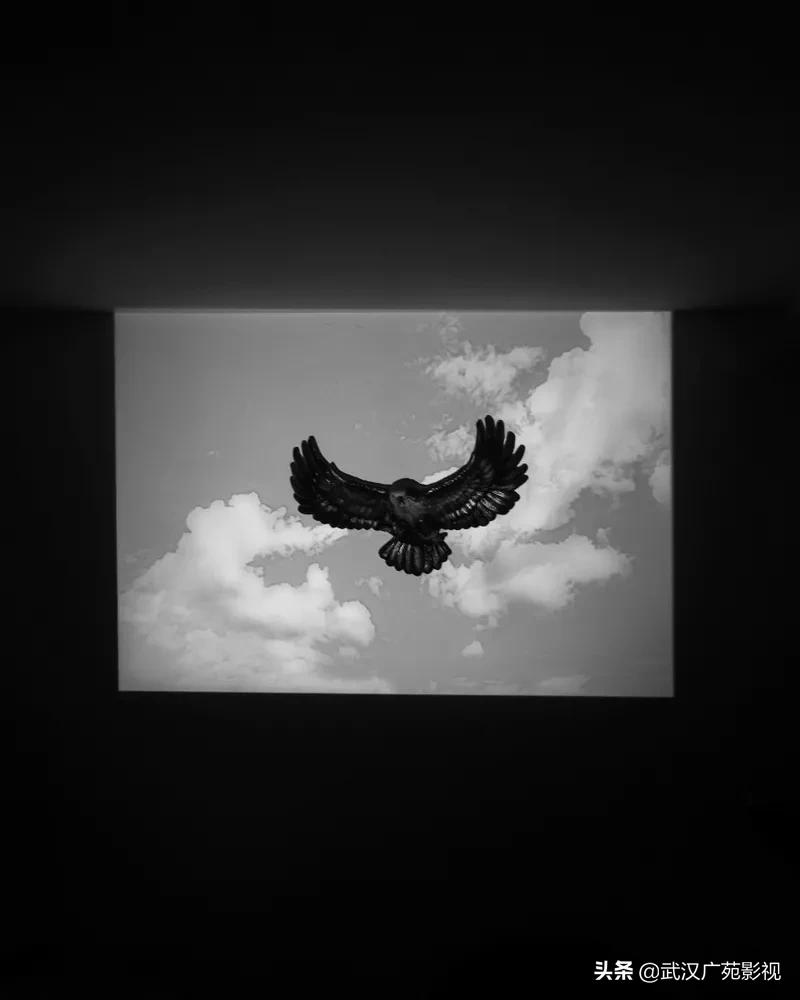 黑白摄影艺术魅力,黑白摄影的魅力可谓精妙绝伦