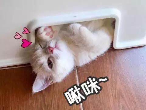 黑眼圈色斑严重怎么办,去除色素型黑眼圈的最快方法