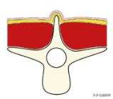 幼猫猫咪的体重多少才是正常体重,猫咪肥胖标准图