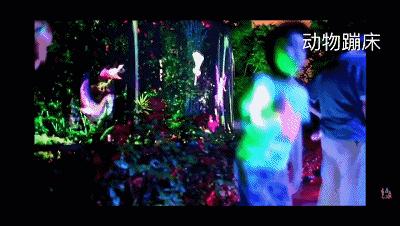 清远七天玩乐,清远一日游最佳景点一览表最新