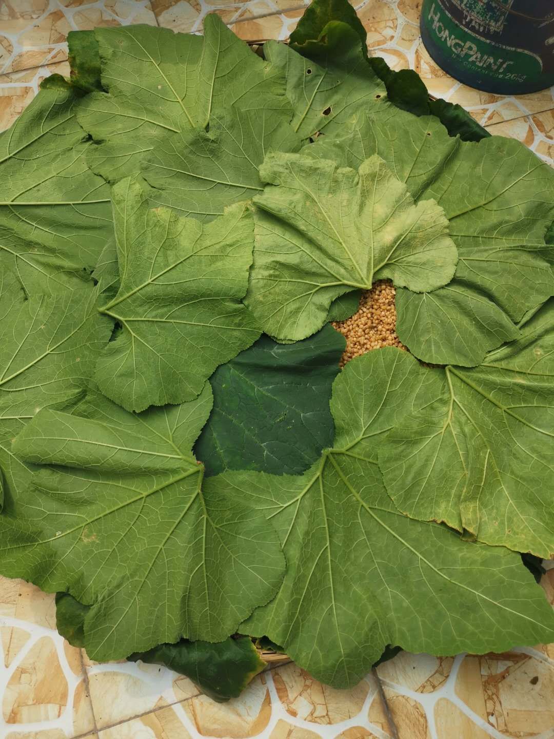 自制甜米酱,甜麦酱的制作方法