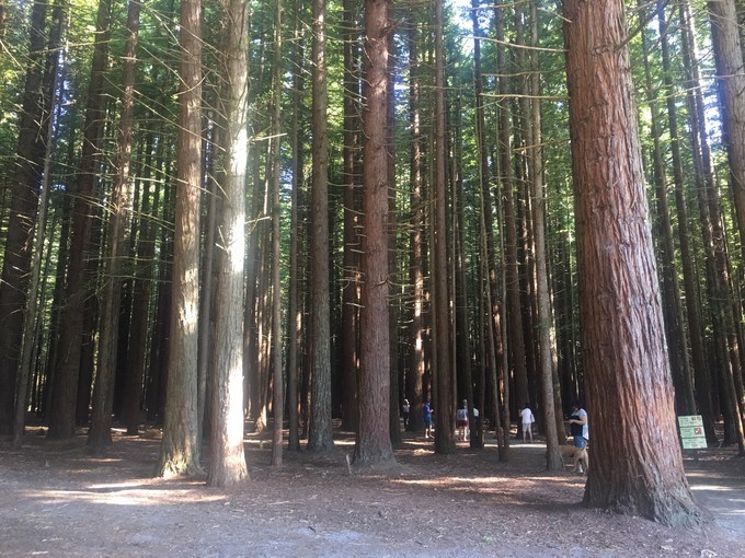 让你不出国就可以拍出欧洲即视感,让你不出家门就能看到江南的美景