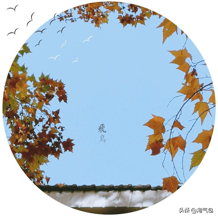 秋分一半热烈一半安详,秋分秋天分两半