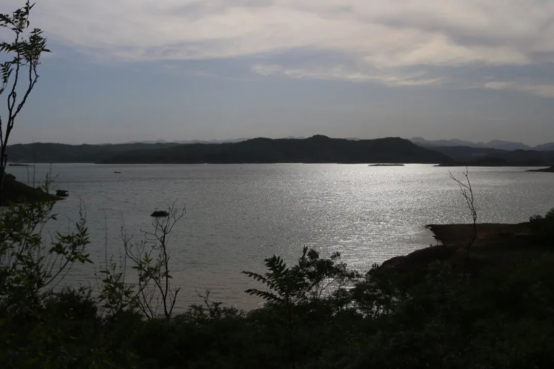 一招教你拯救废片视频,教你一秒拯救废片