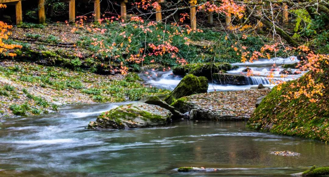 陕西汉中黎坪红叶,汉中黎坪红叶免费