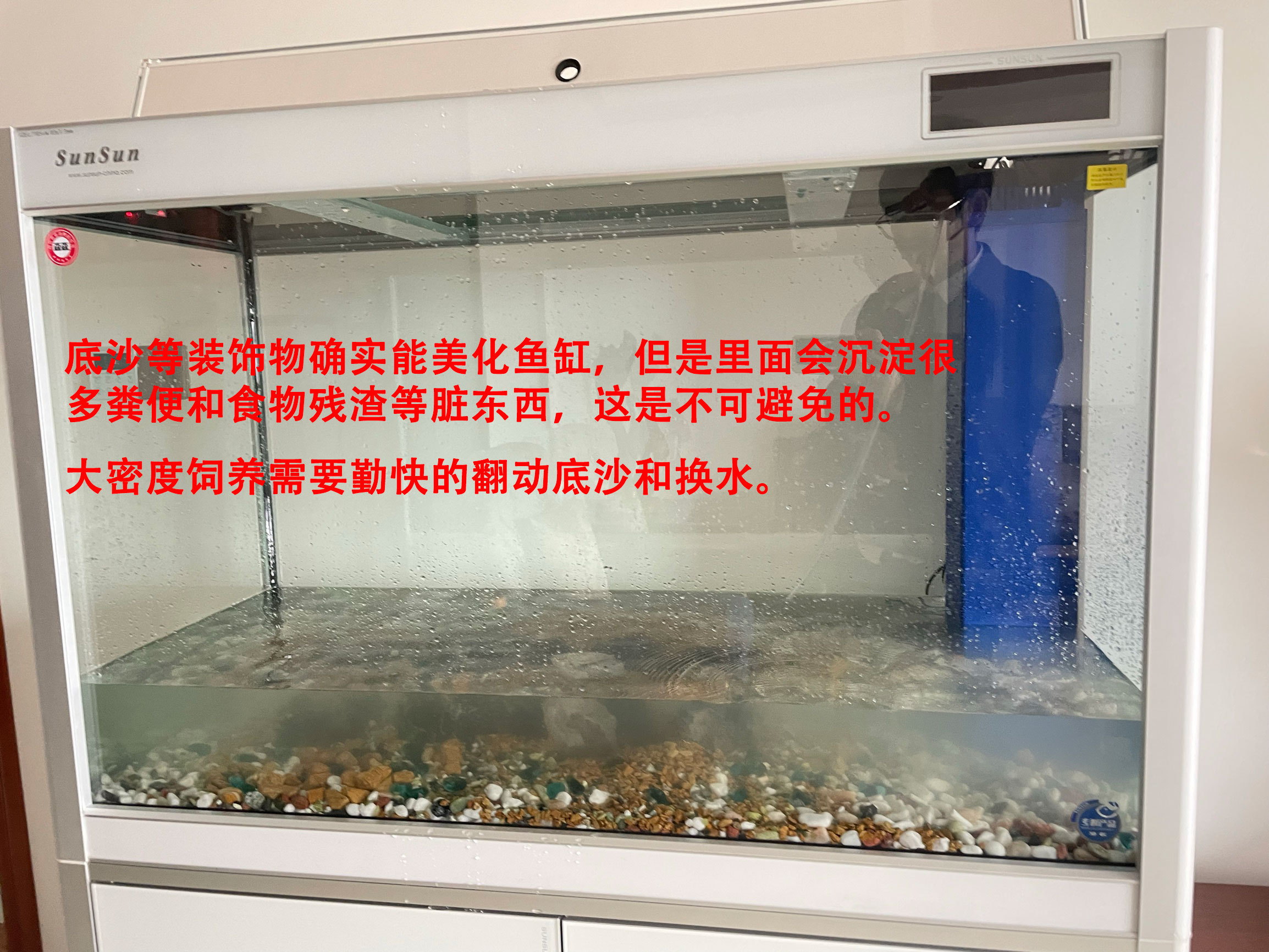 底滤鱼缸里的鱼粪抽不走怎么办,底滤鱼缸为什么吸不走缸底的粪便