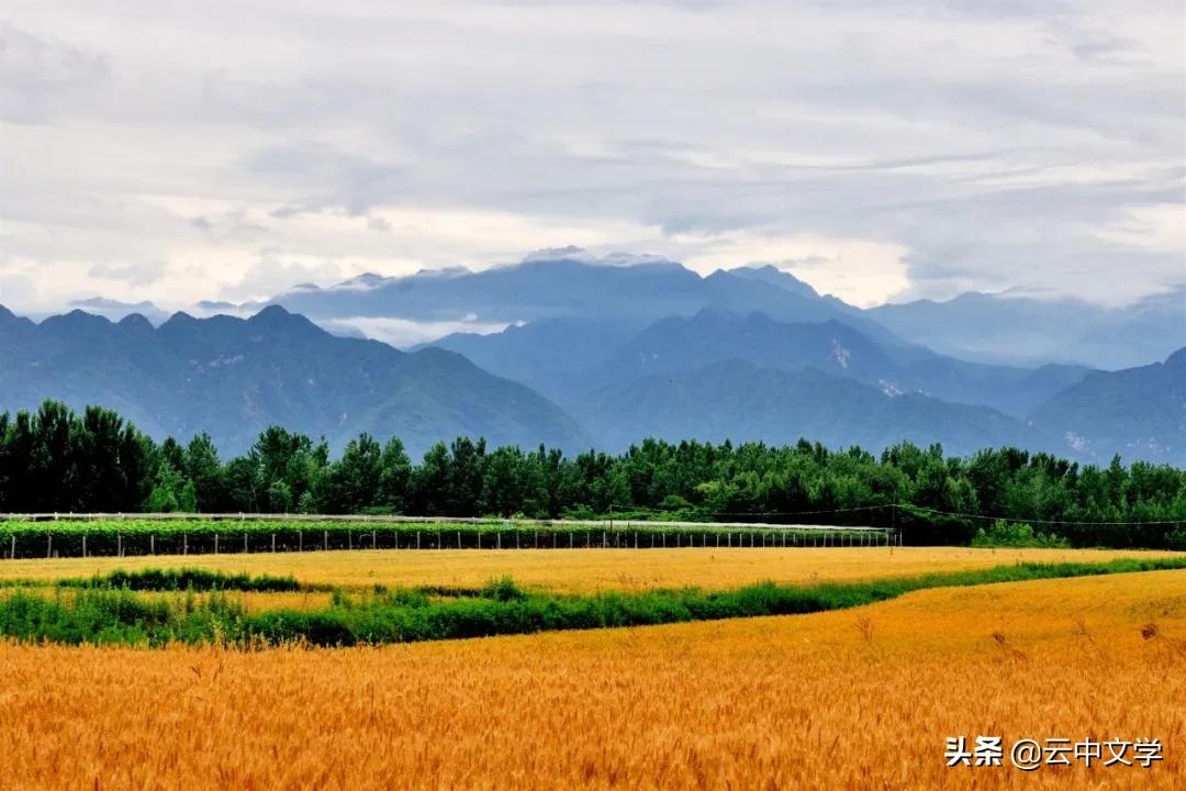 为什么说不孝有三无后为大呢,不孝有三无后为大不是没有道理的