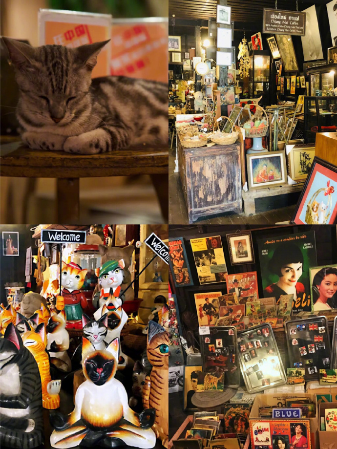 去泰国清迈旅行,一定要收藏的15家街边小店