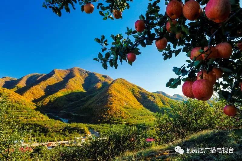 瓦房店真是个好地方,爱上大连这座城