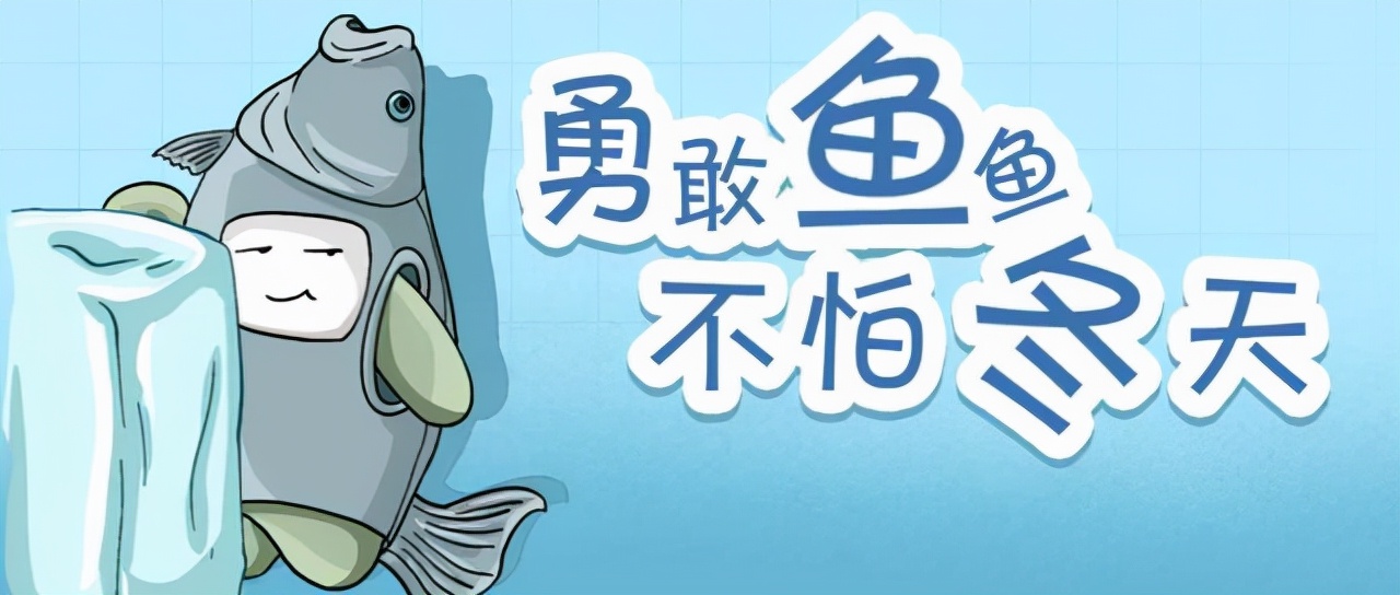 鱼能在南极生存吗,为什么在南极的鱼不怕冷
