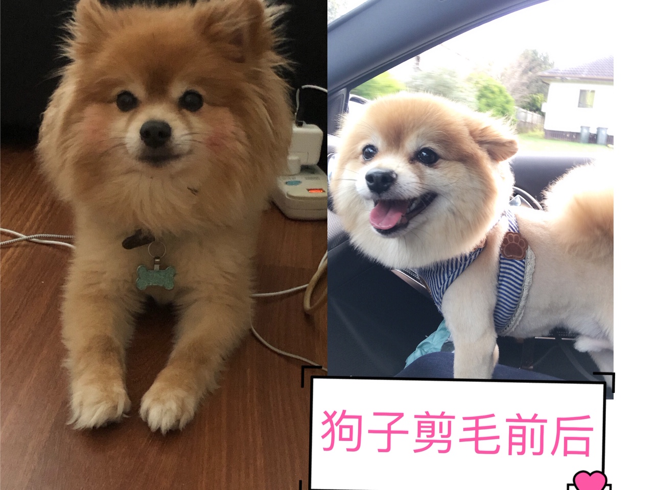 什么人适合澳洲旅游,去澳洲穿什么衣服最好