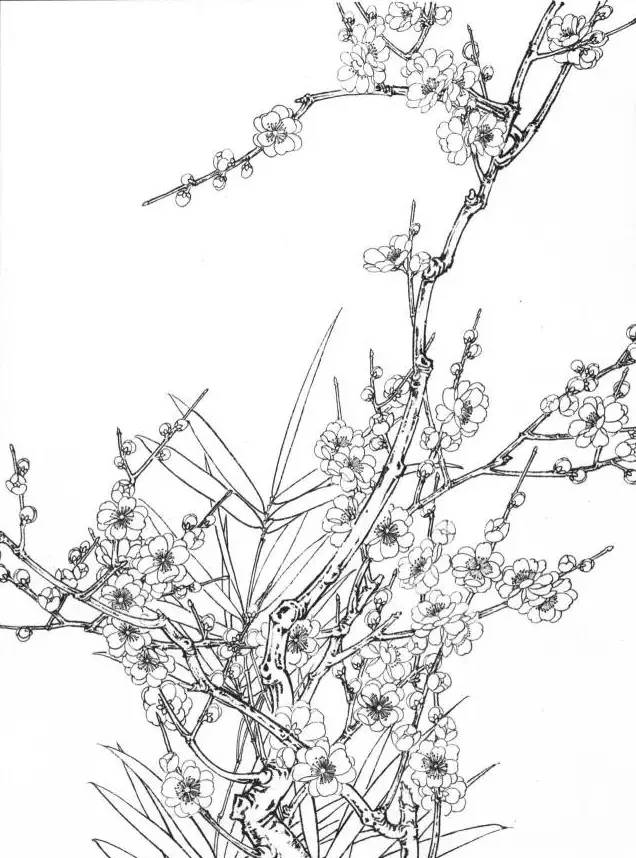 工笔梅花的分染上色教程,工笔梅花的10种设色技法收藏起来