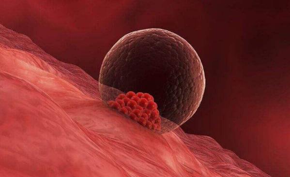 没有优势卵泡备孕女性怎么办,监测卵泡没有优势卵泡怎么办