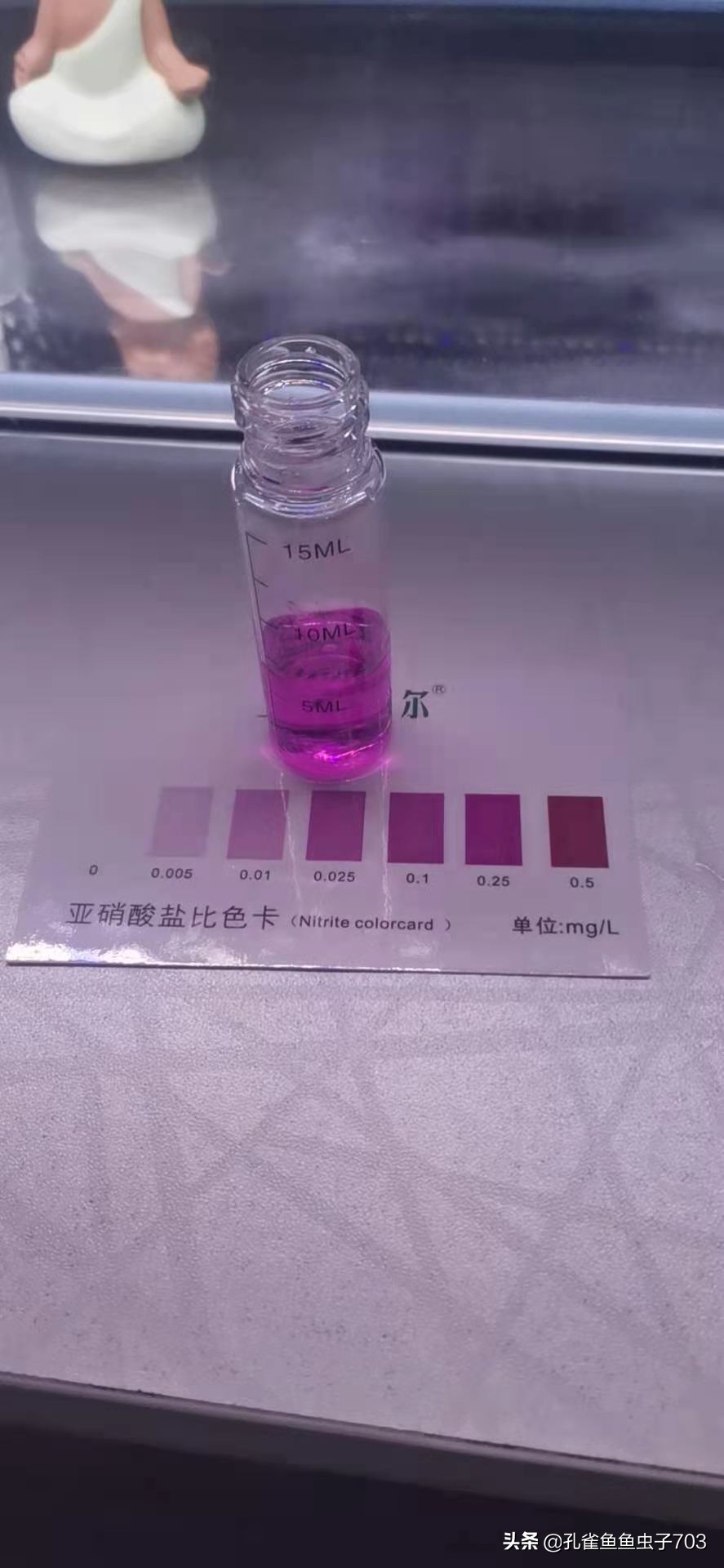 孔雀鱼买回来攻略,孔雀鱼买鱼技巧