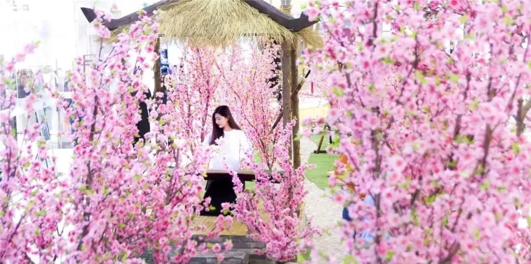 龙泉4大冷门赏桃线路出炉，向东60里遇见一座城市桃花源！