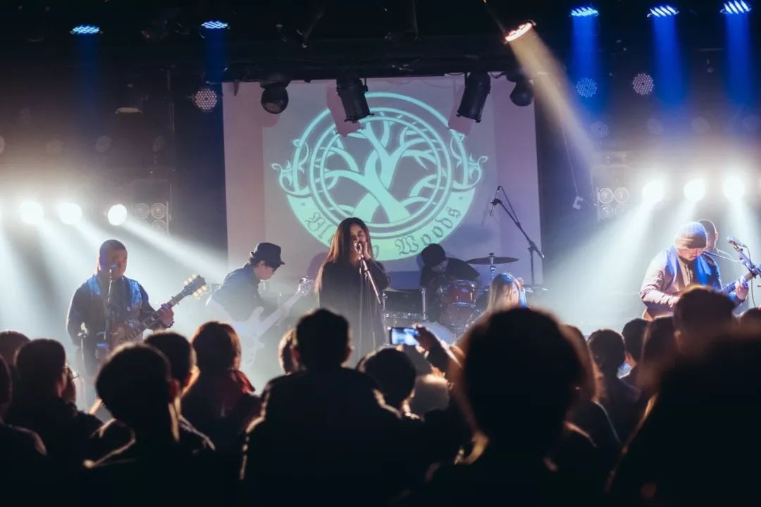 迷笛音乐节嘉年华台儿庄,迷笛音乐节吹响集结号