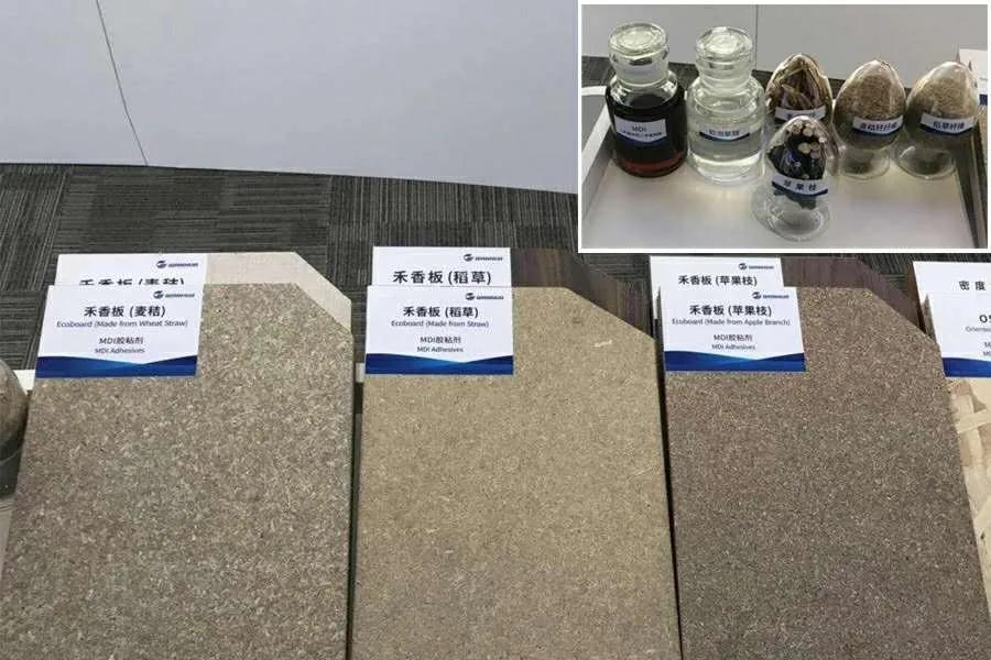 大王椰千年舟板材排名,大王椰板材蓝光防伪