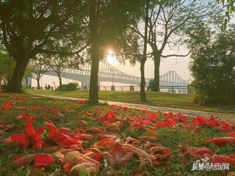 2021年东莞沙田最新区域分析:全国百强镇东莞下一个发展红利