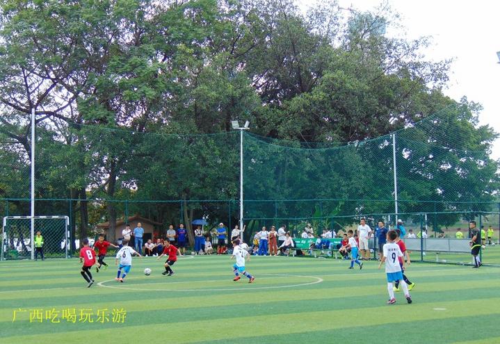 广西足球联盟赛,中国青少年足球联赛广西u10决赛