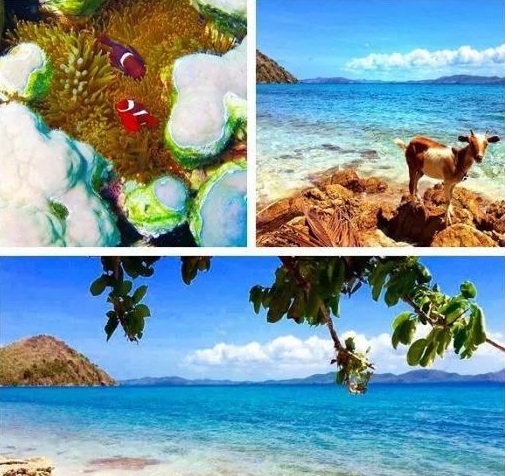 菲律宾最美十大海岛可以钓鱼吗,菲律宾最适合度假的岛