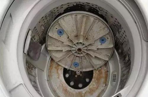 清除家里毛絮的小妙招,打扫卫生家里很多毛毛怎么办