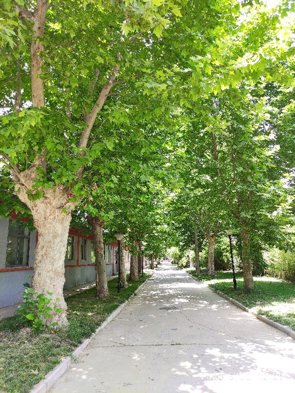 鎵撳崱闀垮畨鍙ゅ煄,鎵撳崱闀垮畨鏁呴噷