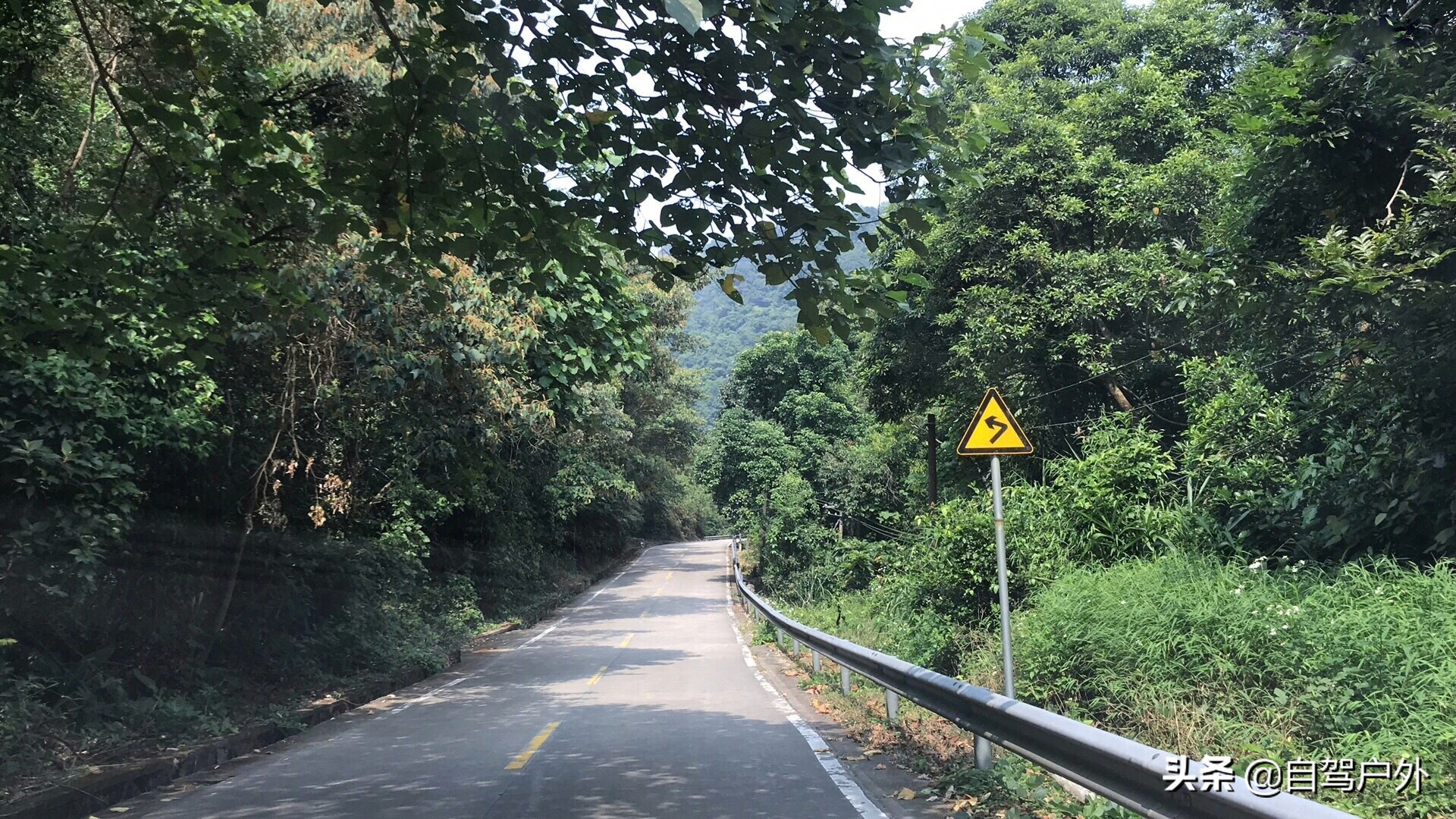 罗浮山明月山庄露营，天然大氧吧中溪谷边西瓜啤酒泡潭子悠闲周末