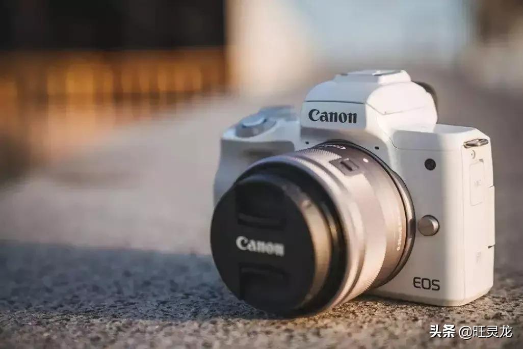 满足各种摄影人群：2019年中盘点10款值得拥有微单无反相机