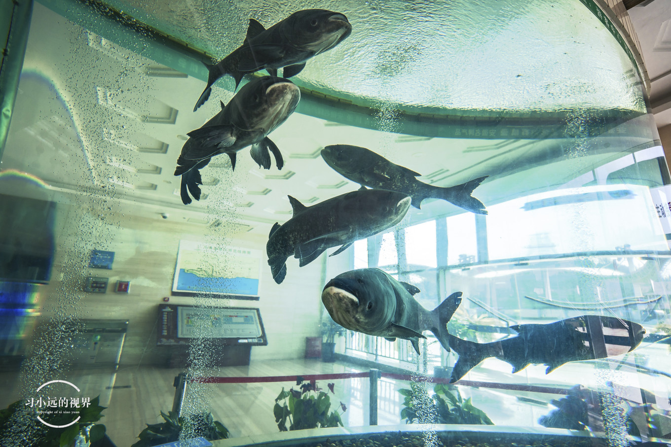 合肥万佛湖二日游攻略,合肥市区旅游攻略一日游