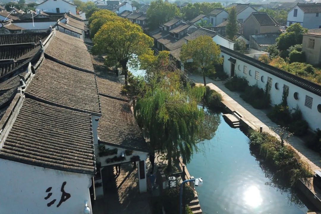别再去西塘周庄挤了！苏州最有人间烟火气的古镇，假期依旧安静