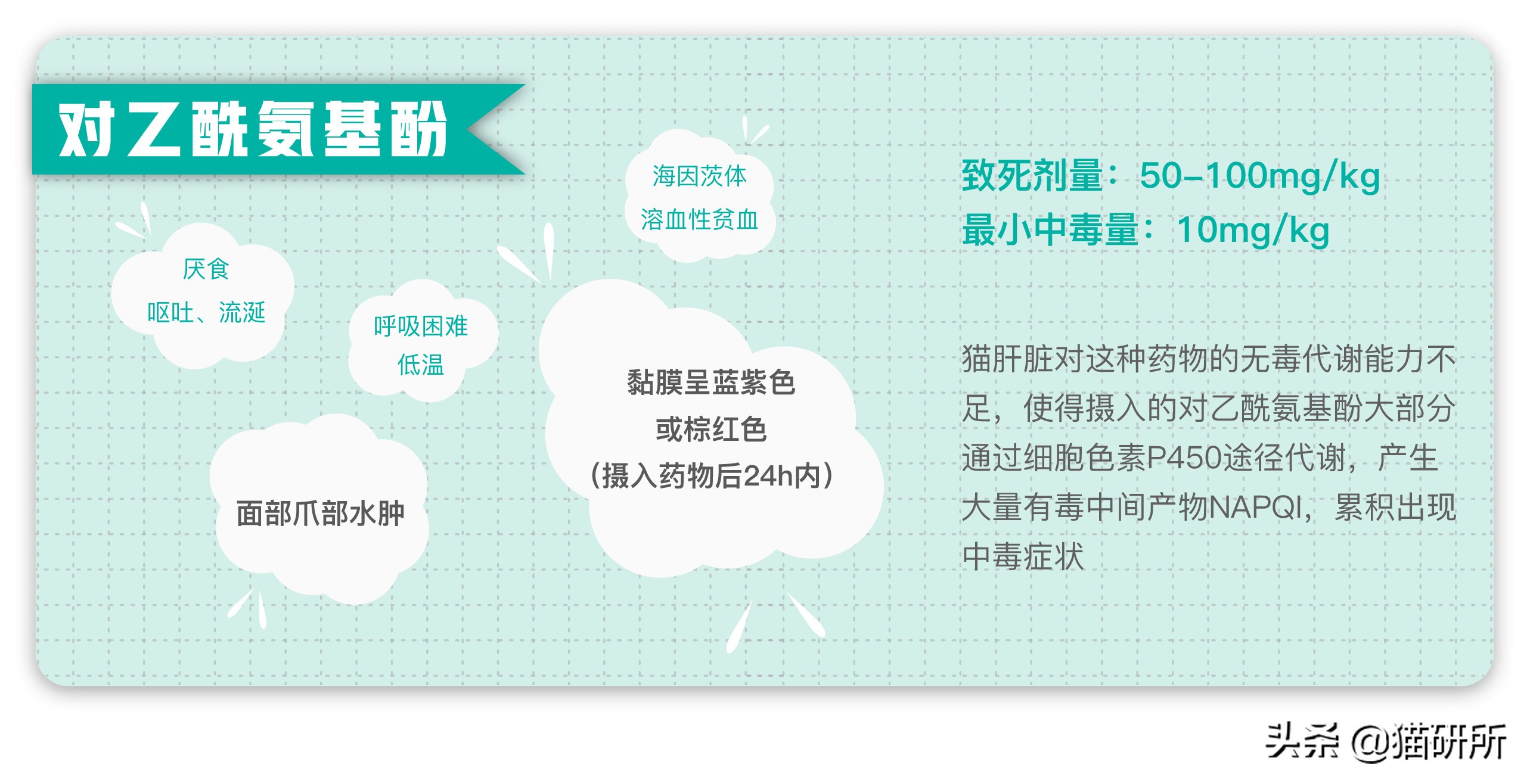 有人给猫下毒会不会有毒,猫能吃人用感冒药吗