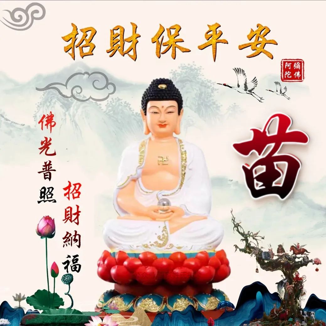 佛光普照普渡众生手机头像,用佛光普照头像好吗